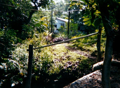 Leniatasi's House through the trees