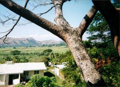 Tavua (Tavua Hospital is behind the camera man)