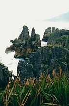 Punakaiki - Pancake Rocks -   Christorpher Waldvogle